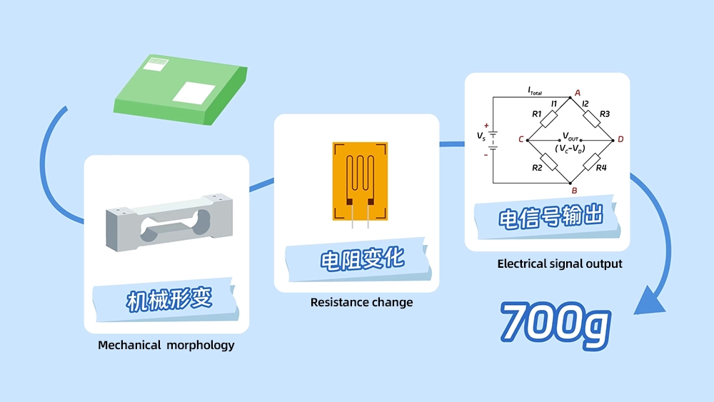 Weighing Load Cell Working Principle (1) 